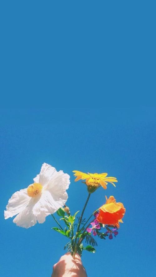 女生必备：QQ,微信背景图