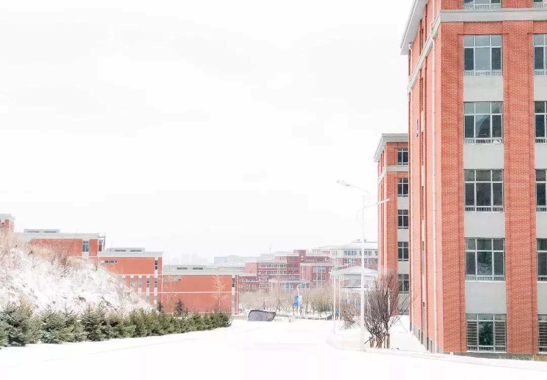 民办学校大连艺术学院全国排名,大连艺术学院辽宁排名