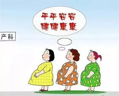 日本产检报告单怎么看单子,在日本第一次产检费用