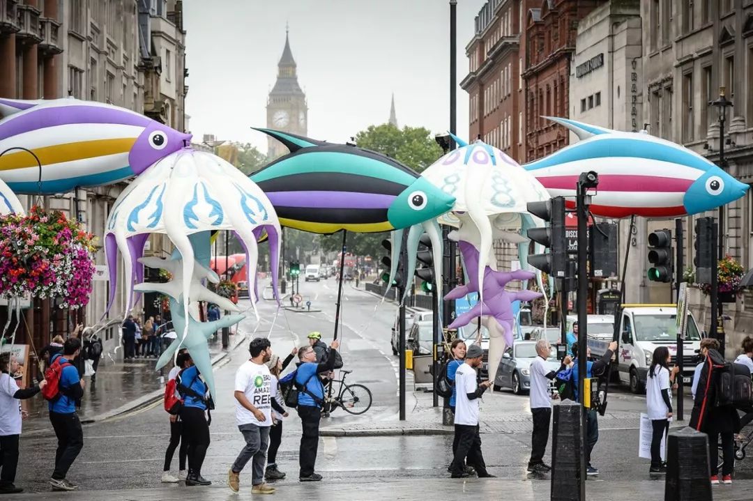 小榄菊花会景点门票,小榄菊花会12月开放吗