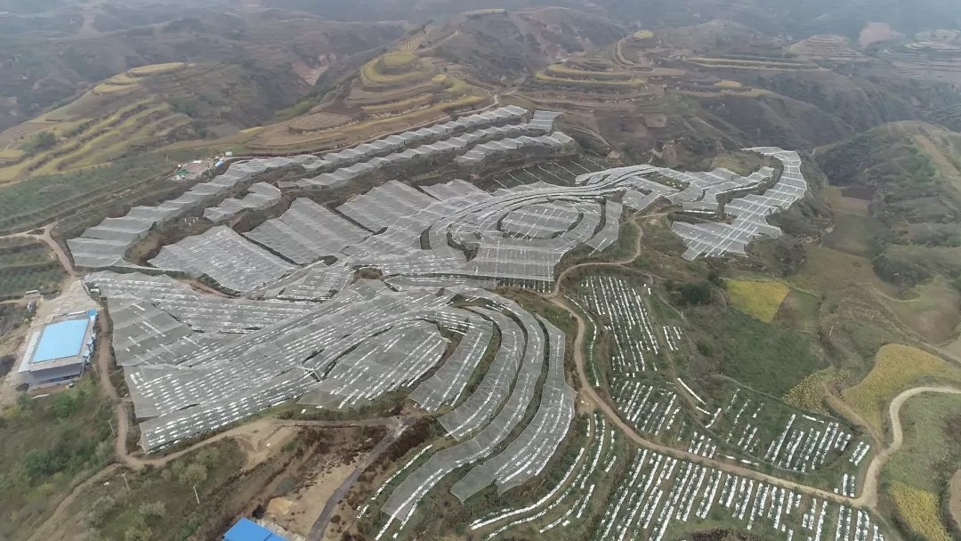 酵素富硒农业,酵素苹果原生态