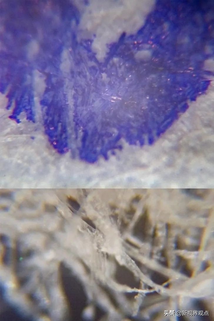 这组很少见的图片，看完知识储备量又增加了