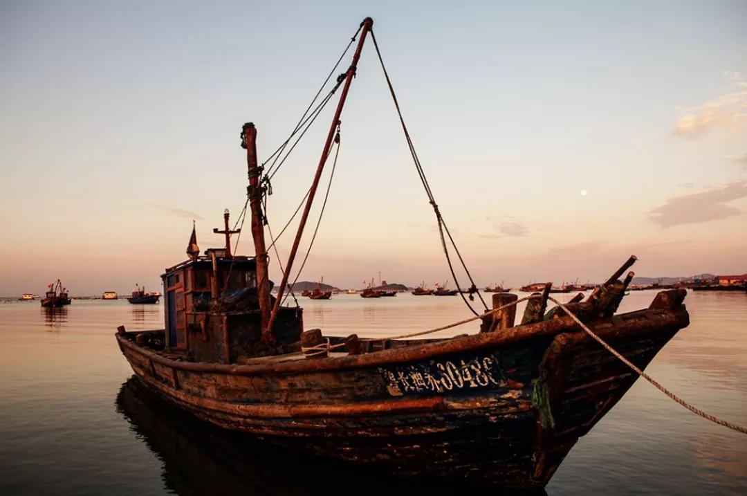 沙爽的活着写作背景,沙爽作品