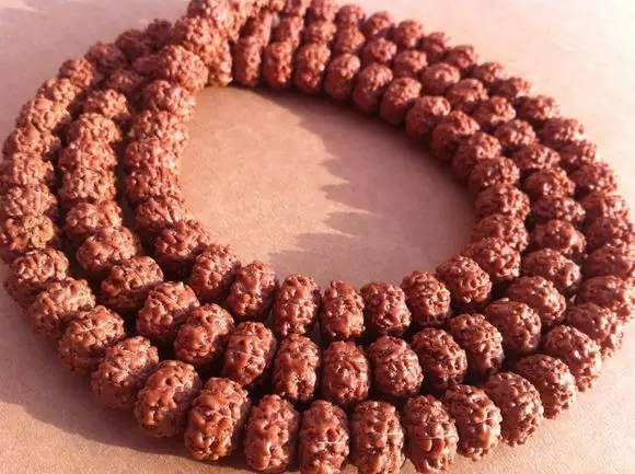 小金刚菩提鉴定视频,小金刚菩提的真假鉴别