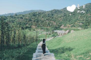 人少还免门票！深圳这片5000000㎡新公园美翻了，“神仙花谷”