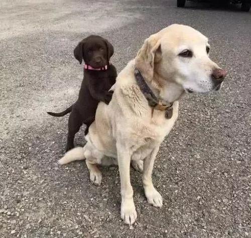 为啥说异性相吸,为什么说异性相吸