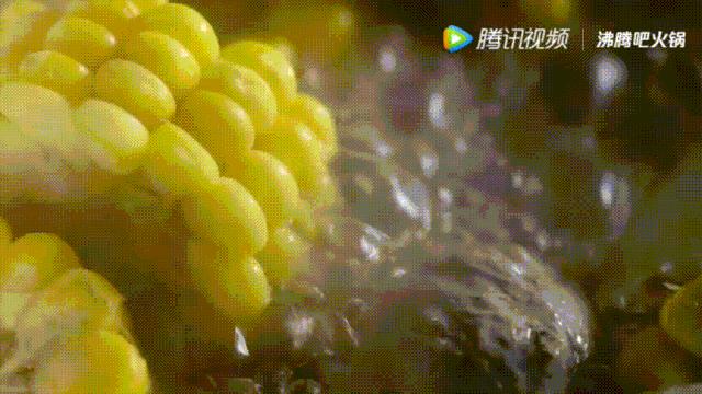 明星投毒吓人事件,深夜放毒招人恨的视频