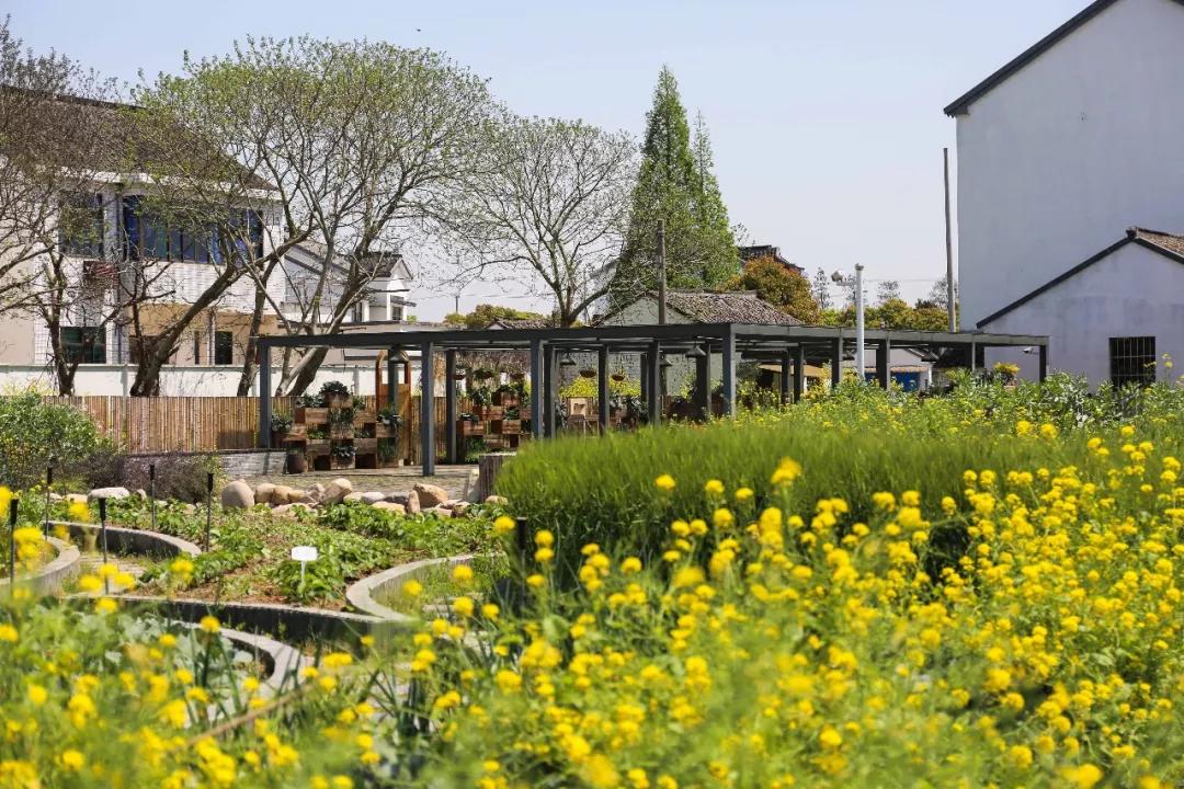 迎春路附近民宿,上海周边民宿过年