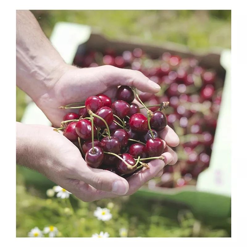 用了这款沐浴露,不仅美白,连出汗都是香水味!