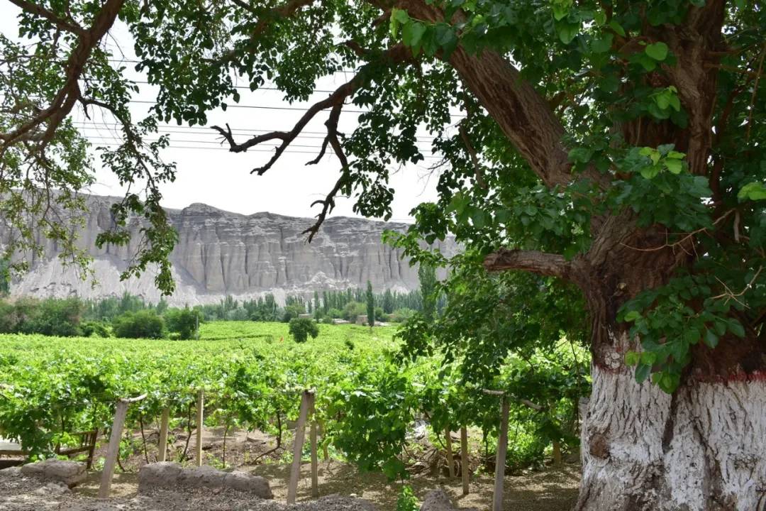 疫情肆意蔓延是什么意思,疫情为什么那么多地方管控