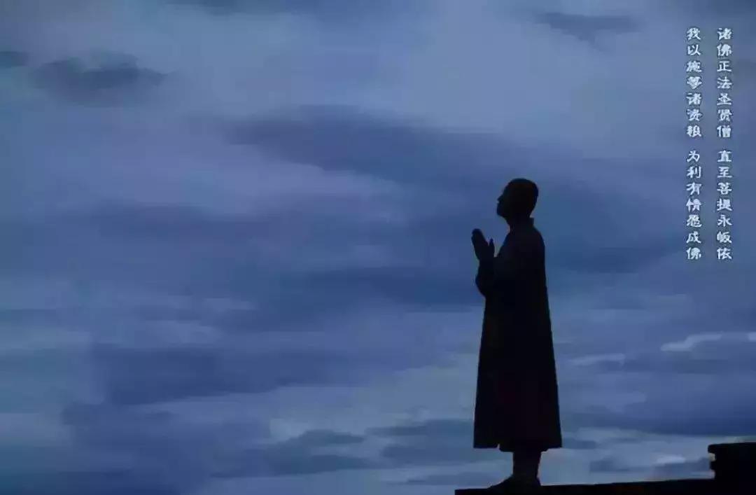 卢梦淼:根性决定结果,要改变果实?先要改变它的根