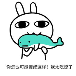 瑞士品牌鞋子,瑞士进口高档鞋