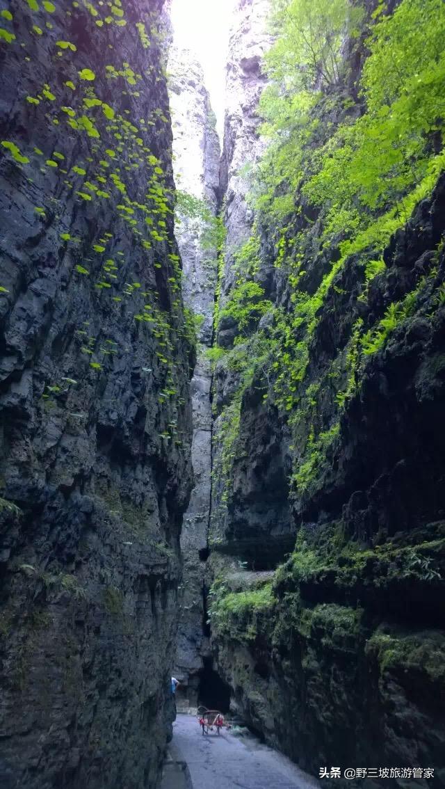 野三坡百里峡旅游视频,野三坡百里峡一日游攻略午餐