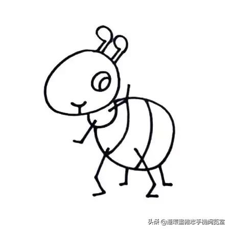 可爱的小昆虫简笔画,我认识的昆虫简笔画