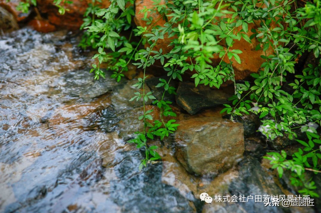 无锡海岸城郦园平面布置,无锡海岸城郦园二期在哪