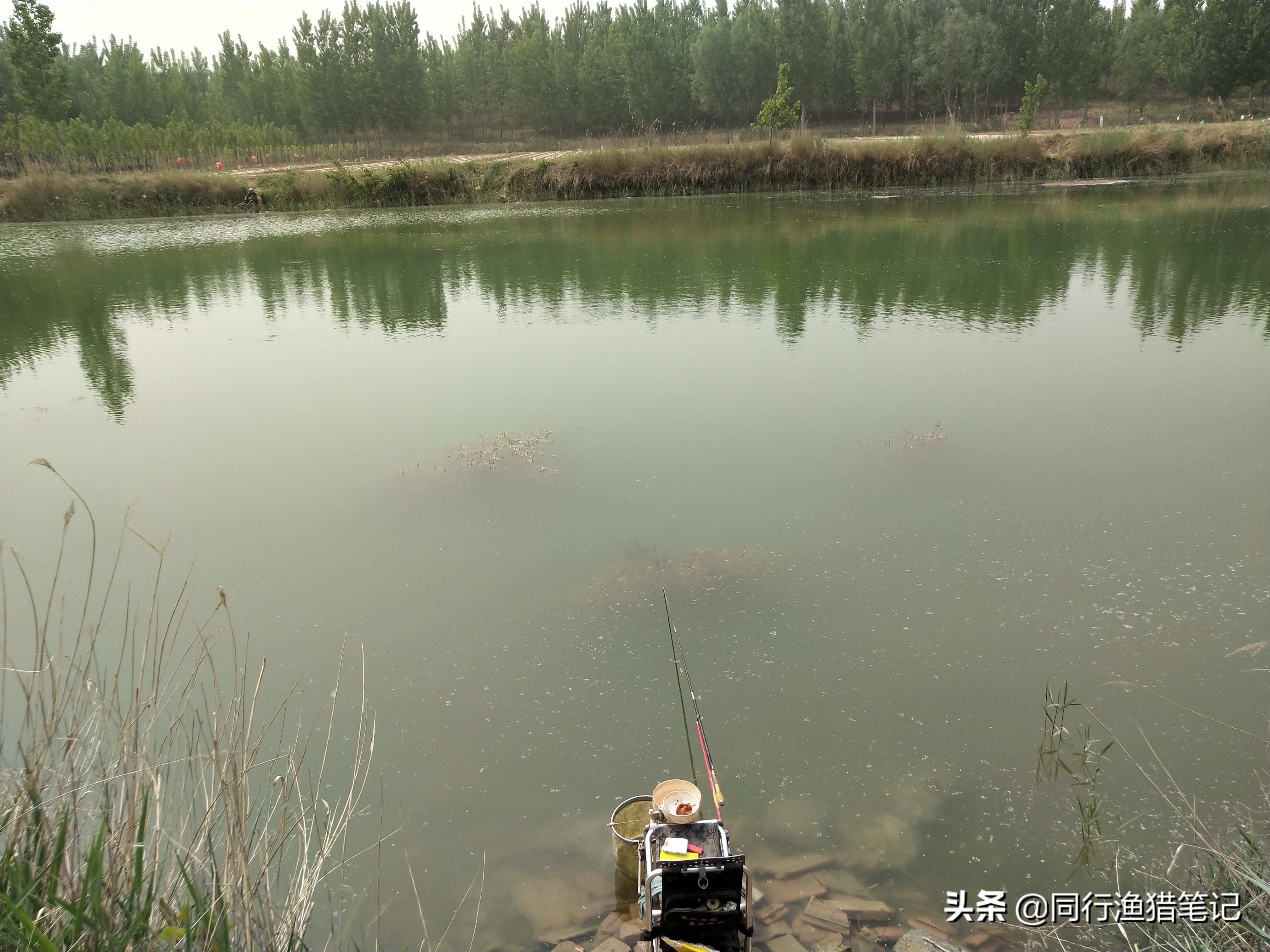 肥水塘如何钓浮,溶氧量低鱼会怎么样