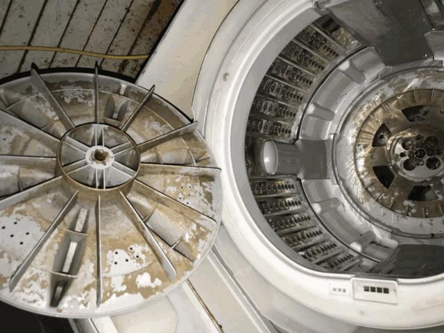 洗衣机洗衣服得霉菌,洗衣机清洗出来的霉菌