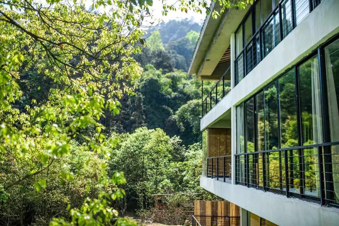 一家四口倾家荡产在山里造房隐居：3年零收入，坚持不通车