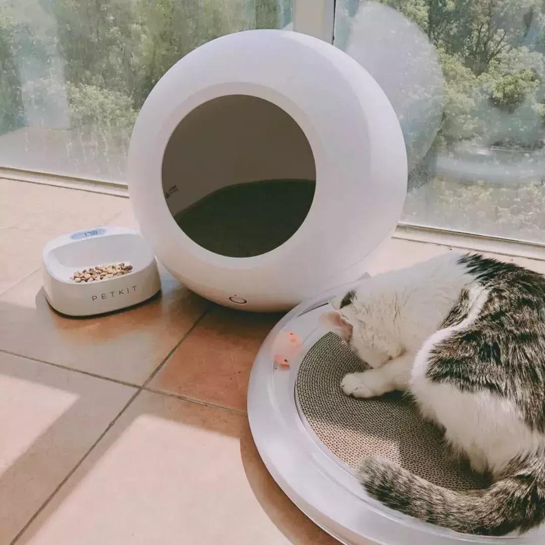 六大值得购买的好物,最值得入手的十件好物