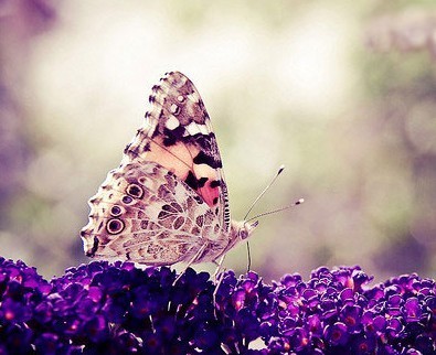 从磁带到CD，从MP3到智能音箱，音乐*放播**器暴露你的年龄