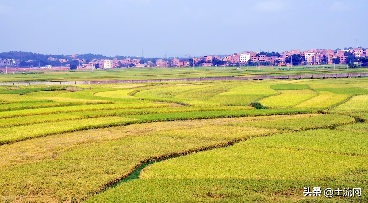 耕地保护补贴申请流程,耕地地力保护补贴办法