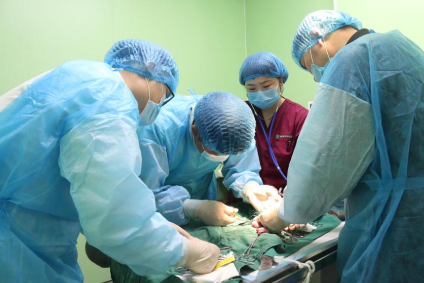 漳州瑞派宠物医院冠城分院,深圳瑞派宠物医院靠谱吗