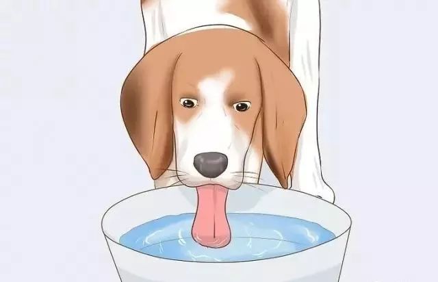 狗狗中暑后好几个小时站不起来,狗狗中暑症状和解救方法及其价格