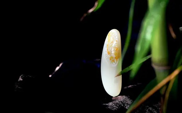 证券金融基础知识考试重点,证券考试金融市场基础知识必考点