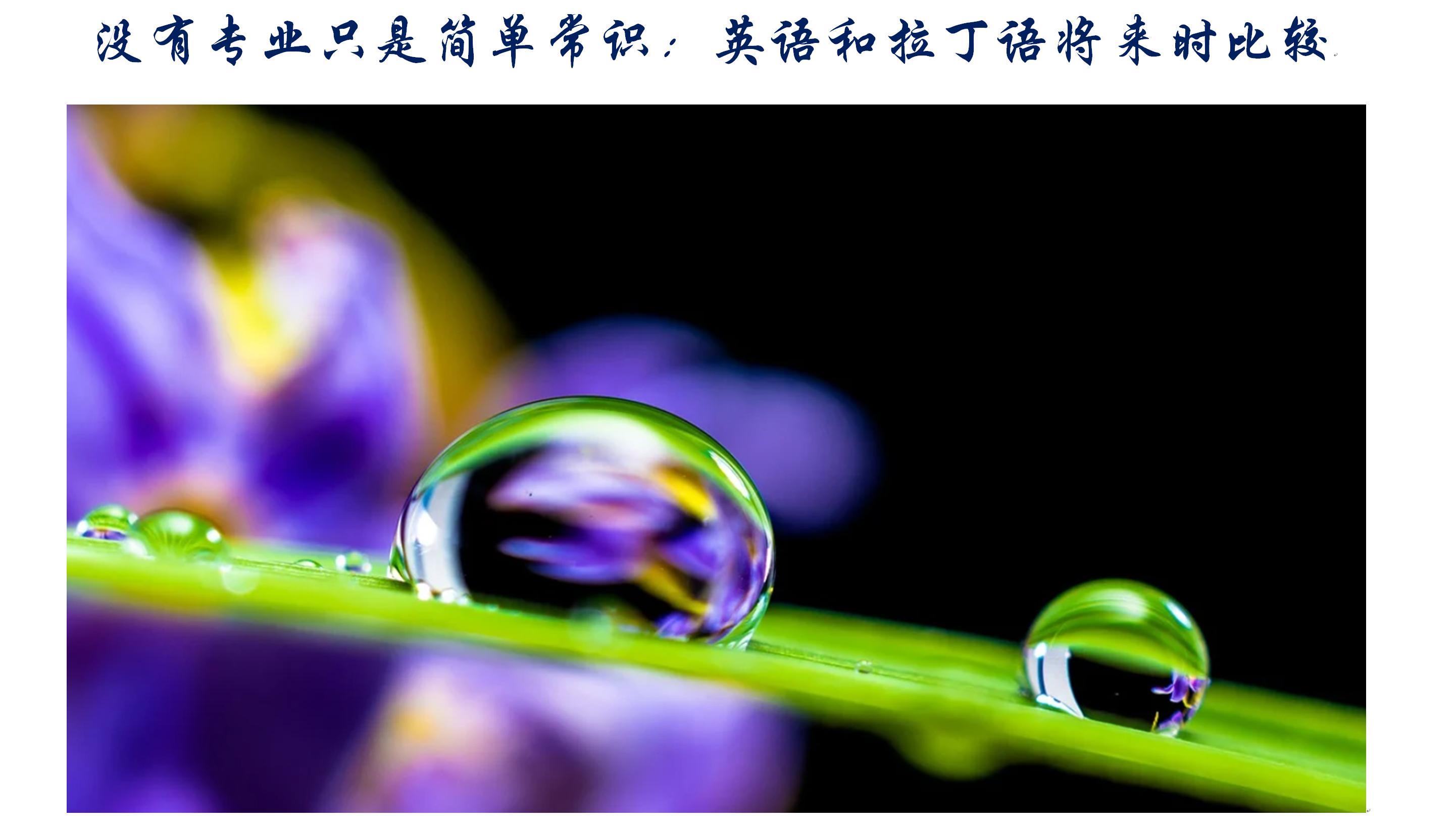 没有常识但是专业知识很强的人,没有专业的知识