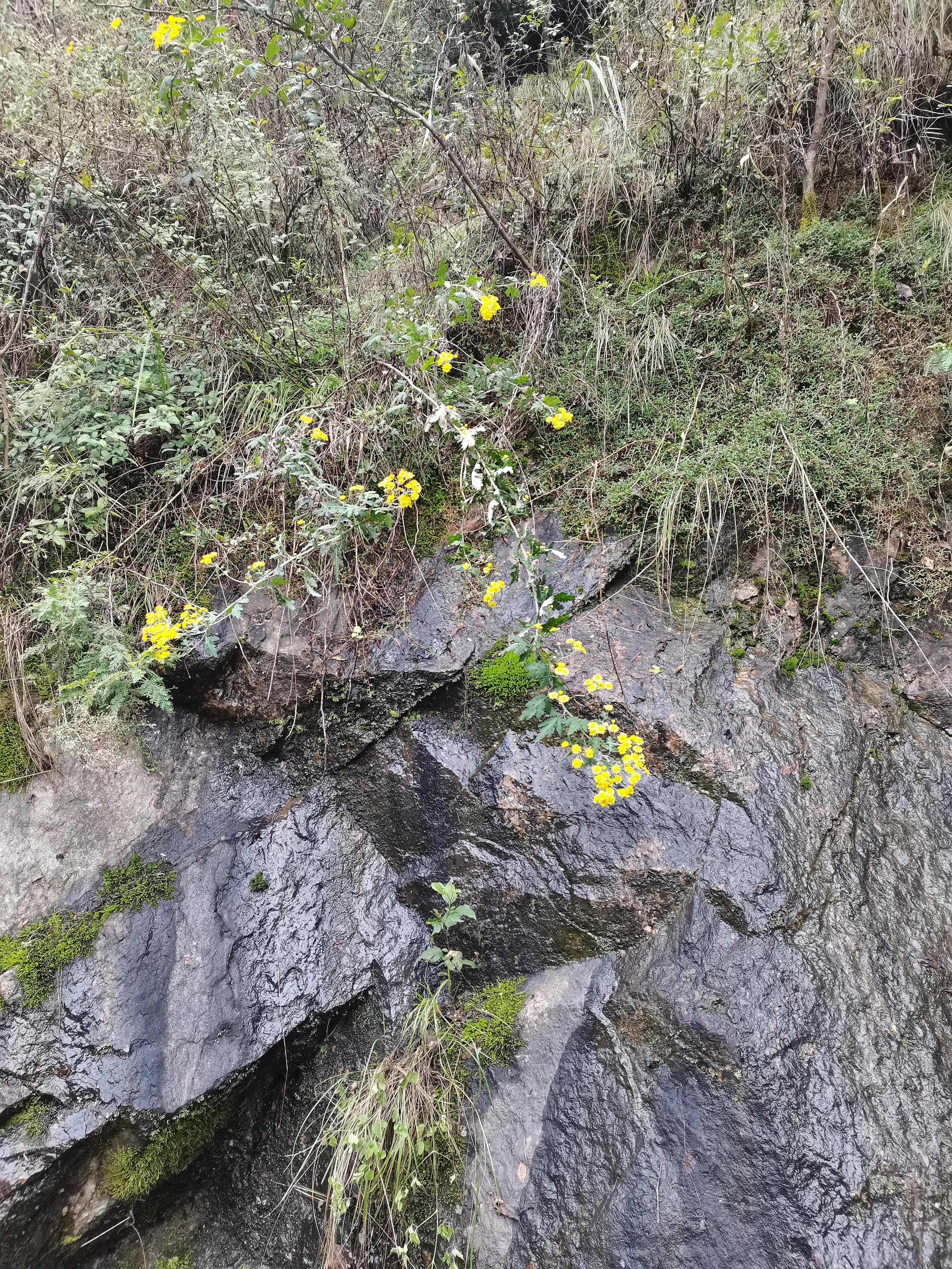 西安洪庆山自驾游路线图,西安洪庆附近旅游景点