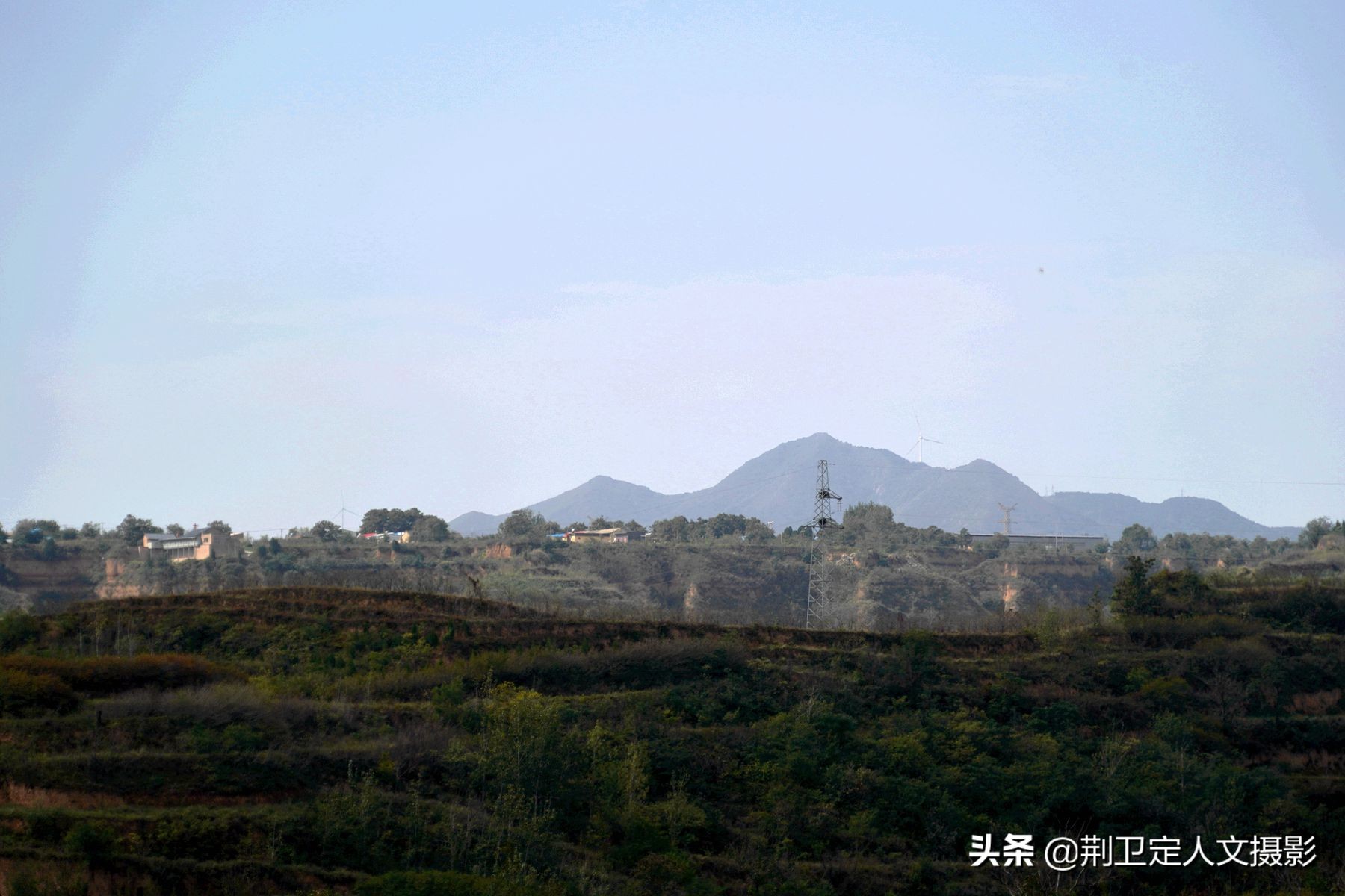 7旬大叔家发现50年生的“神草”,大如磨盘,谁要免费送