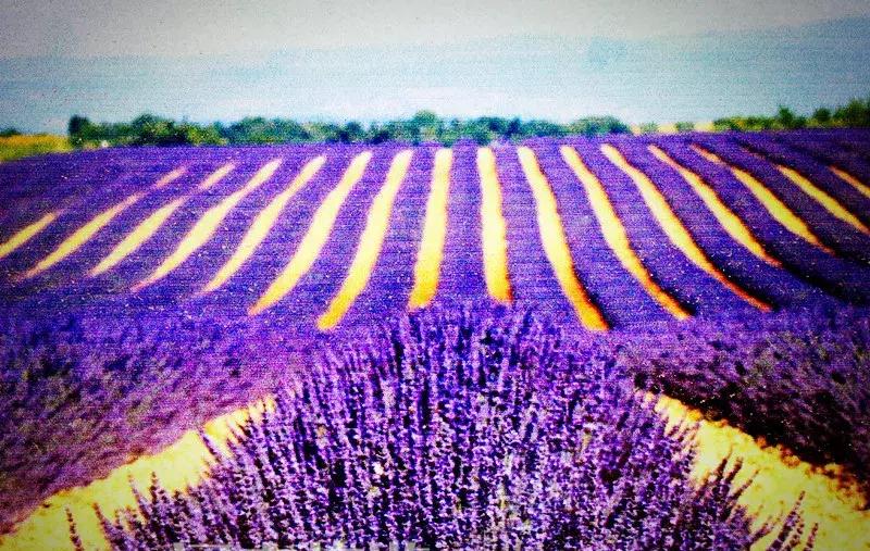 身份证410、411、412开头的，去了郑州就等于去了全世界