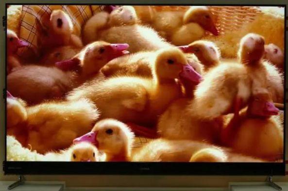 康佳r2功能,康佳空调十大黑科技