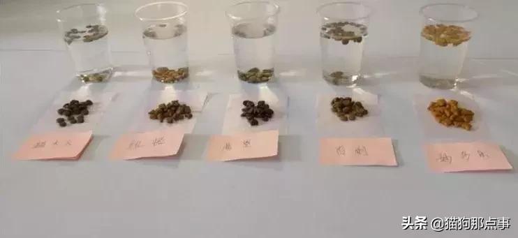 如何鉴别渴望六种鱼猫粮真假,宠率牌猫粮真实评价