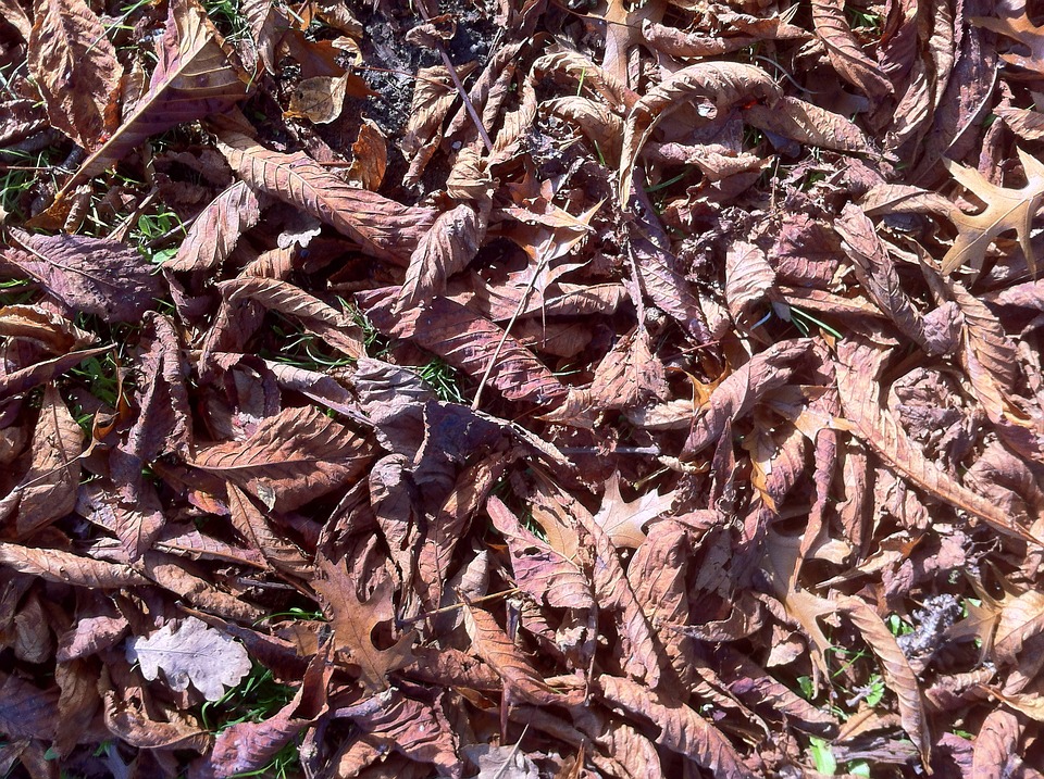 丧兄之痛最伤感的句子,简短干净丧到极致的句子