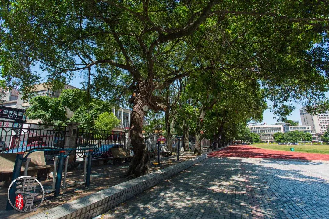 普宁流沙中华新城旧貌,普宁人民广场改造