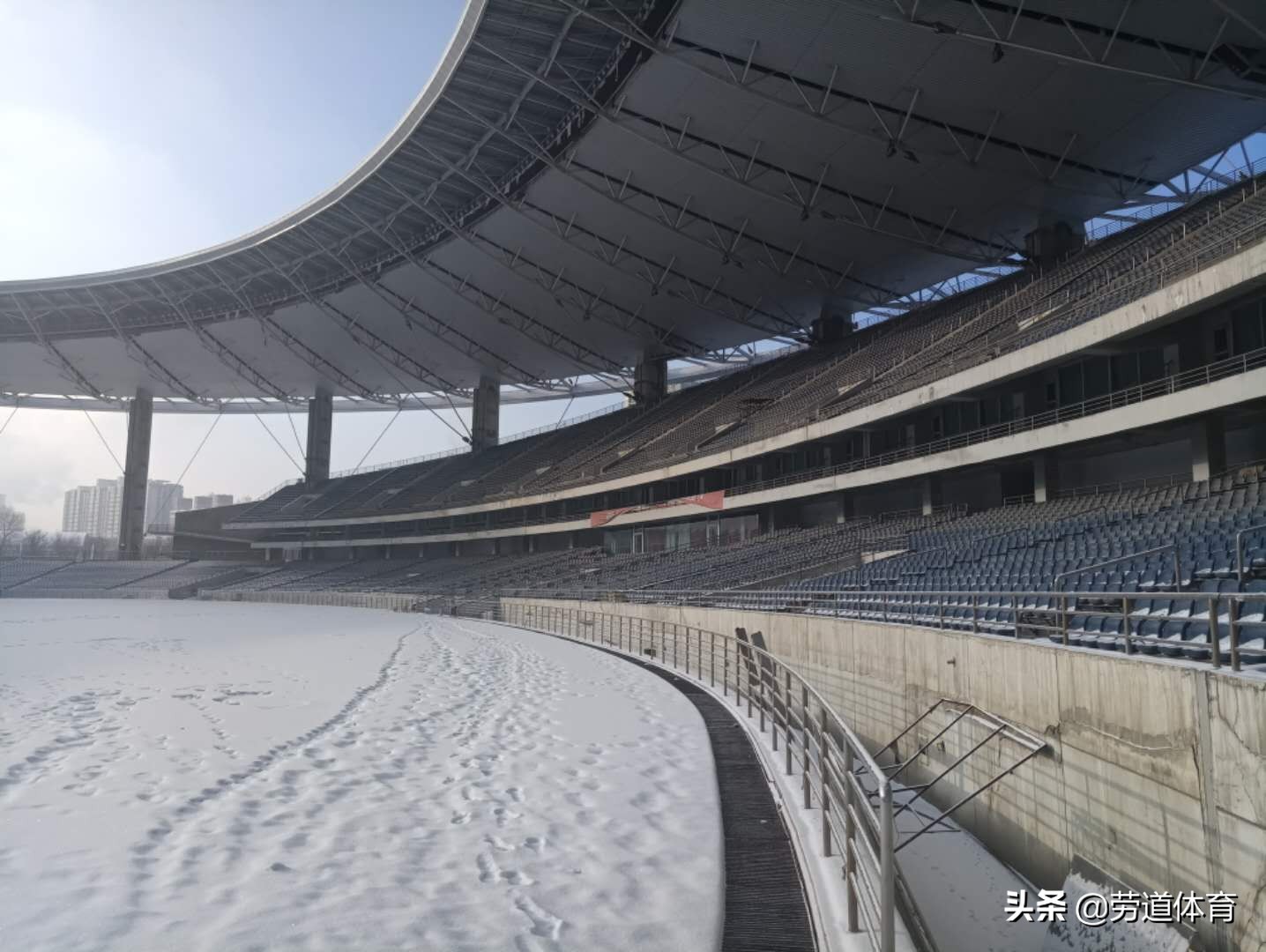 新疆天山雪豹第二阶段赛程,天山雪豹主场