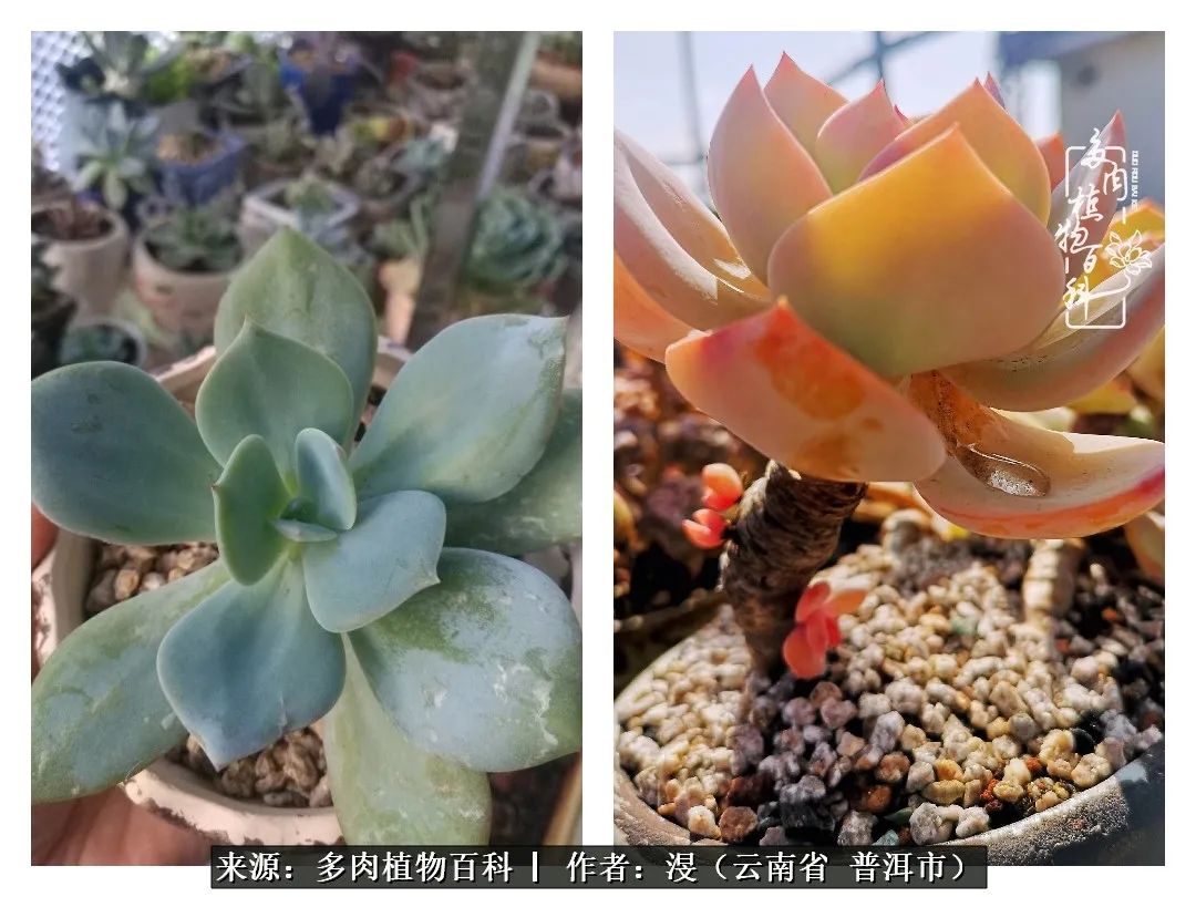 风过留痕讲的啥,风过留痕朗诵