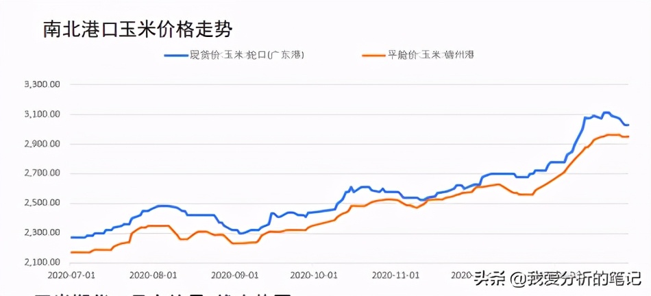 天邦股份对明年猪价的预判,天邦股份还会跌吗