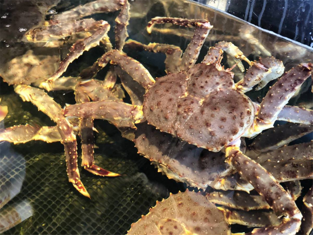 日本札幌县,日本札幌市一年四季