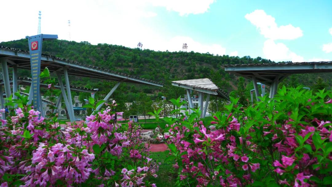 赞美庆阳的美景,庆阳的美