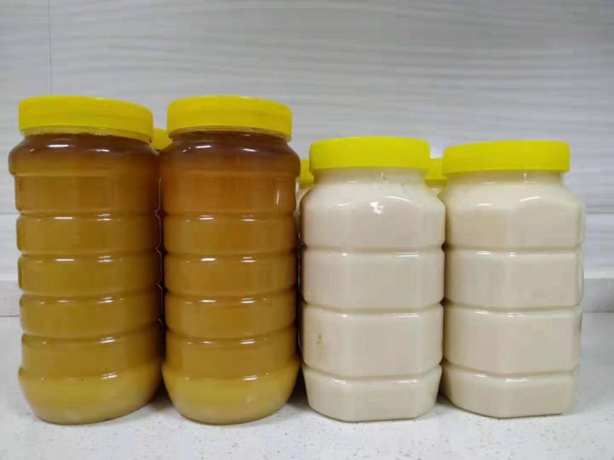 严飞——电商能致富，返乡创业有奔头