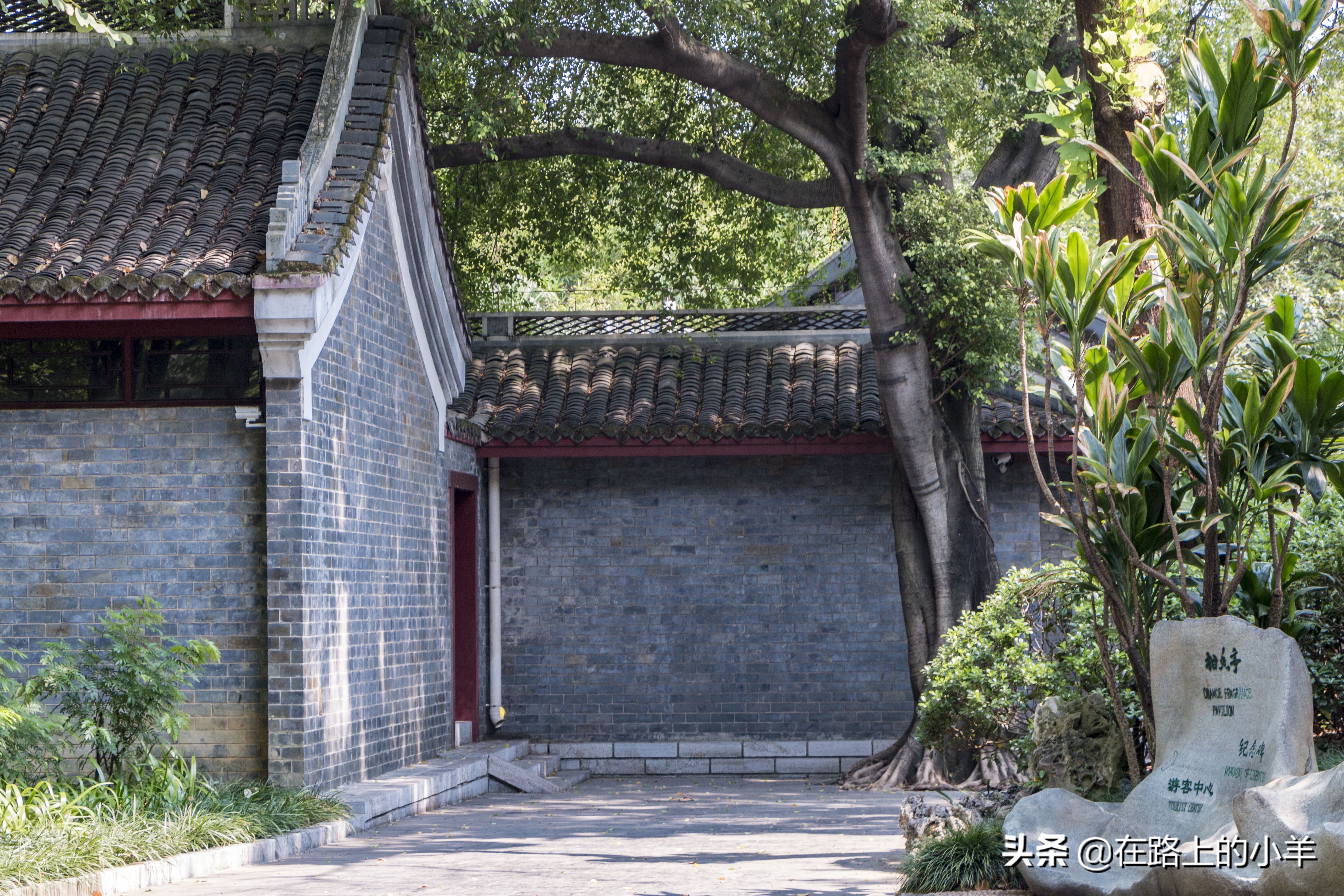 柳州公园游览攻略,柳州国家森林公园攻略