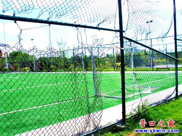 营口辽河公园足球,营口辽河公园足球场