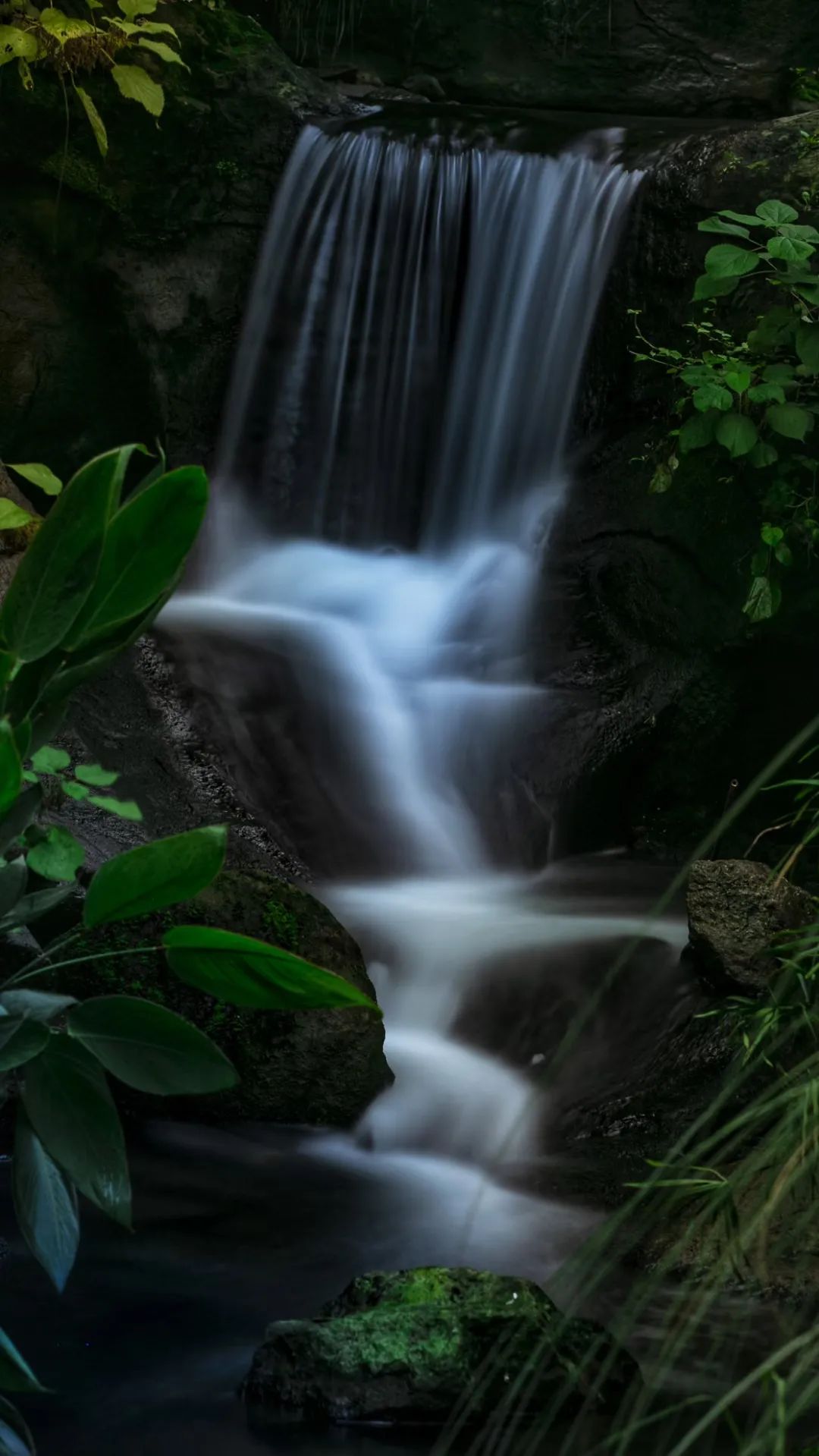 长曝光能消除噪点吗,为什么产生噪点