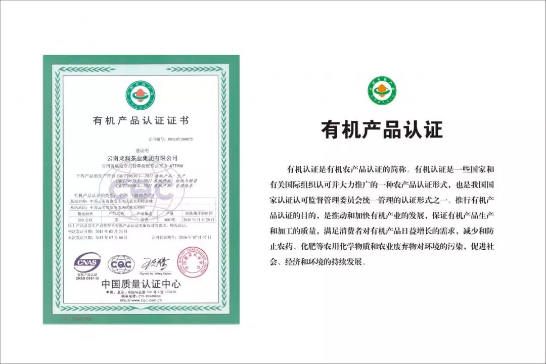 龙润集团年会,龙润集团投资一万亿