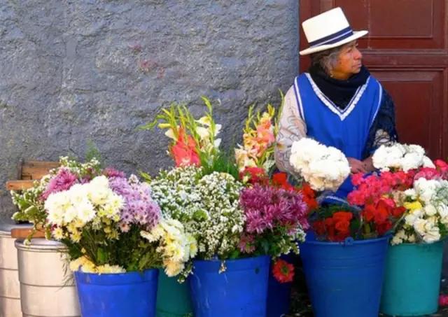 亚洲最大花市宛如仙境,中国最牛的花市