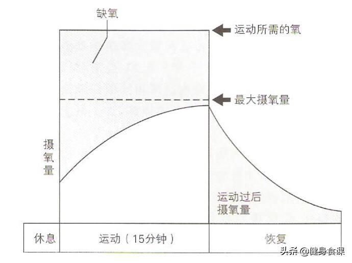 hiit和有氧运动对比,hiit和有氧运动哪个燃脂效率高