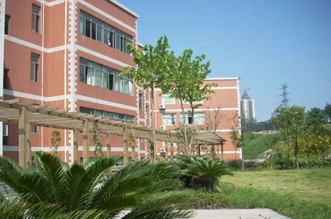 重庆一路向北的区域,重庆哪个板块教育好