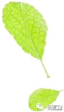 龙岩新火车站最新规划,福建龙岩火车站变化